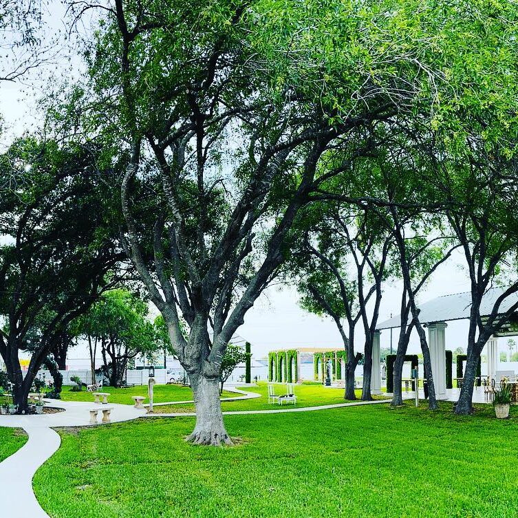 337530302_236240865540138_529246860879599449_n